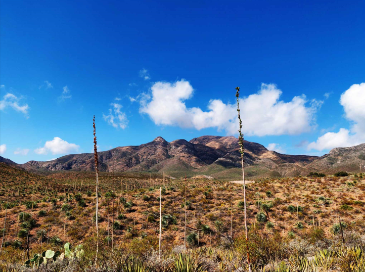 El Paso mountains pic